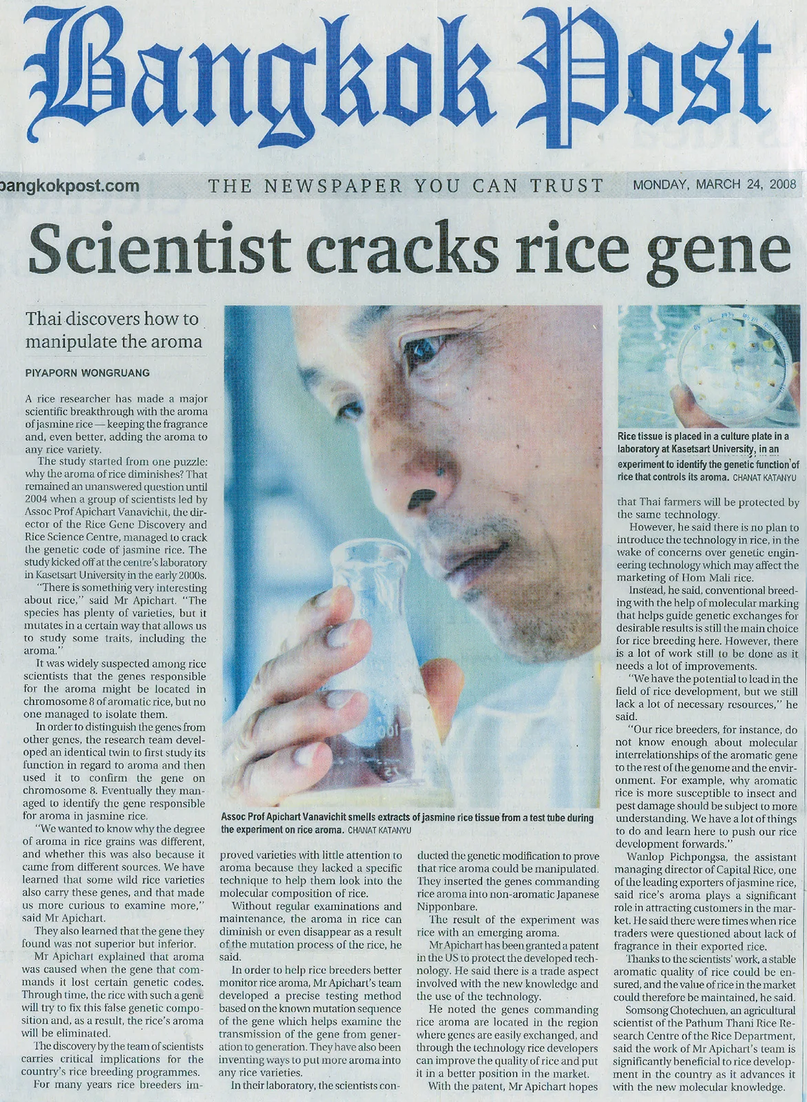 Scientist cracks rice gene