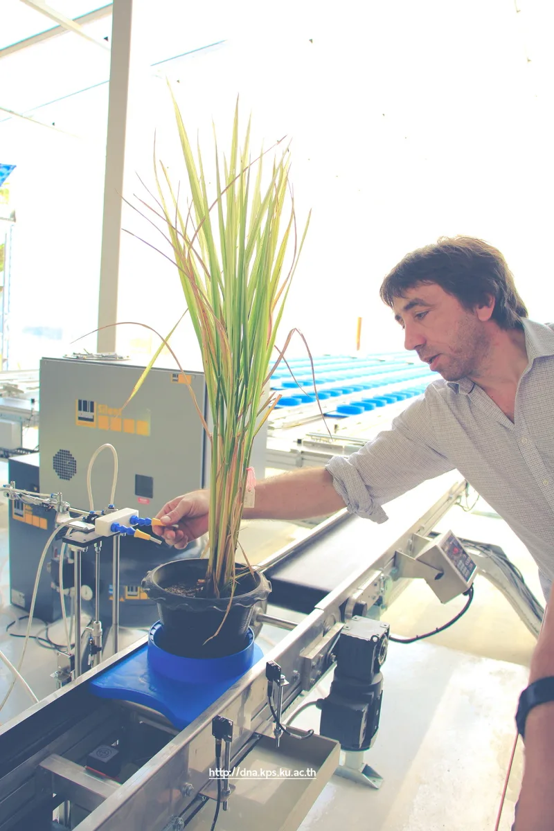 Establishment of a Rapid Plant Phenotyping Laboratory