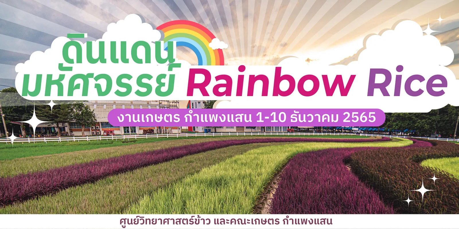 Rainbow Rice: Many Benefits