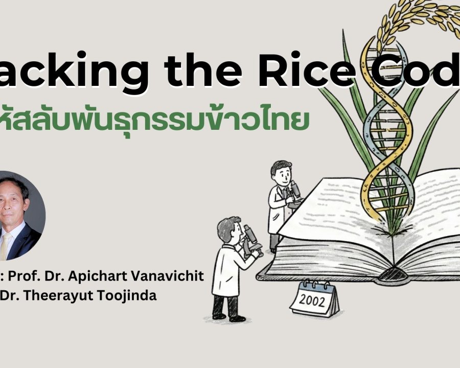 Cracking the Rice Code: Decoding the Rice Genome