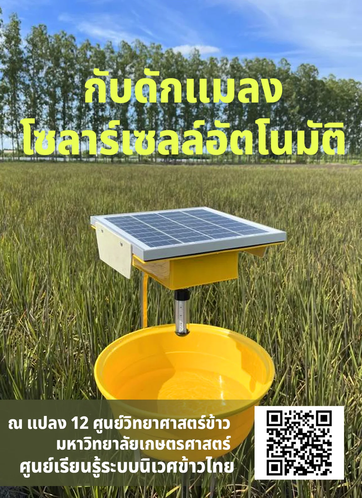 กับดักแมลงพลังงานแสงอาทิตย์: นวัตกรรมเพื่อเกษตรยั่งยืนในนาข้าว KU