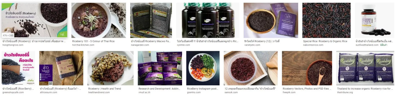 Riceberry: A Prototype of Using Innovation to Develop Medical Food Products