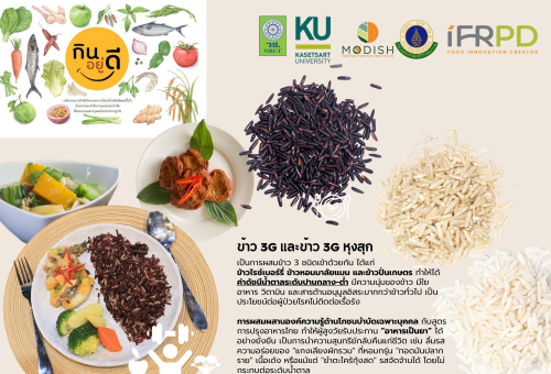 ชุดอาหารเชิงโภชนบำบัด สำหรับผู้สูงวัย โรคอ้วน เบาหวาน หัวใจ  และโรคไต
