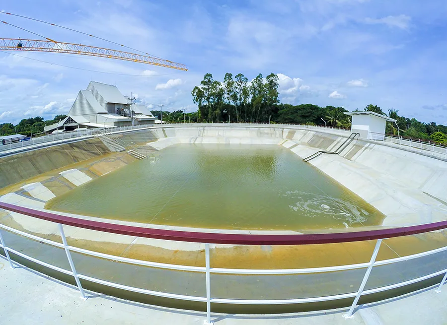 Outstanding Achievements of the Rice Science Center