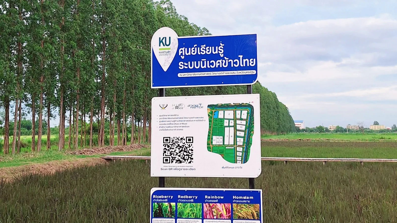 Thai Rice Ecosystem Learning Center