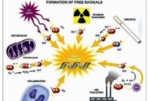 อนุมูลอิสระ(Free Radicle) มาจากไหน