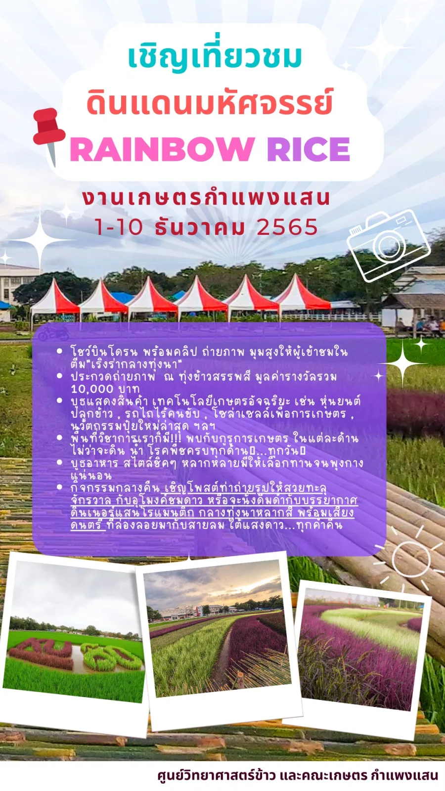 Come Visit and Take Photos of Rainbow Rice at the Kaset Fair, 1–10 December 2022