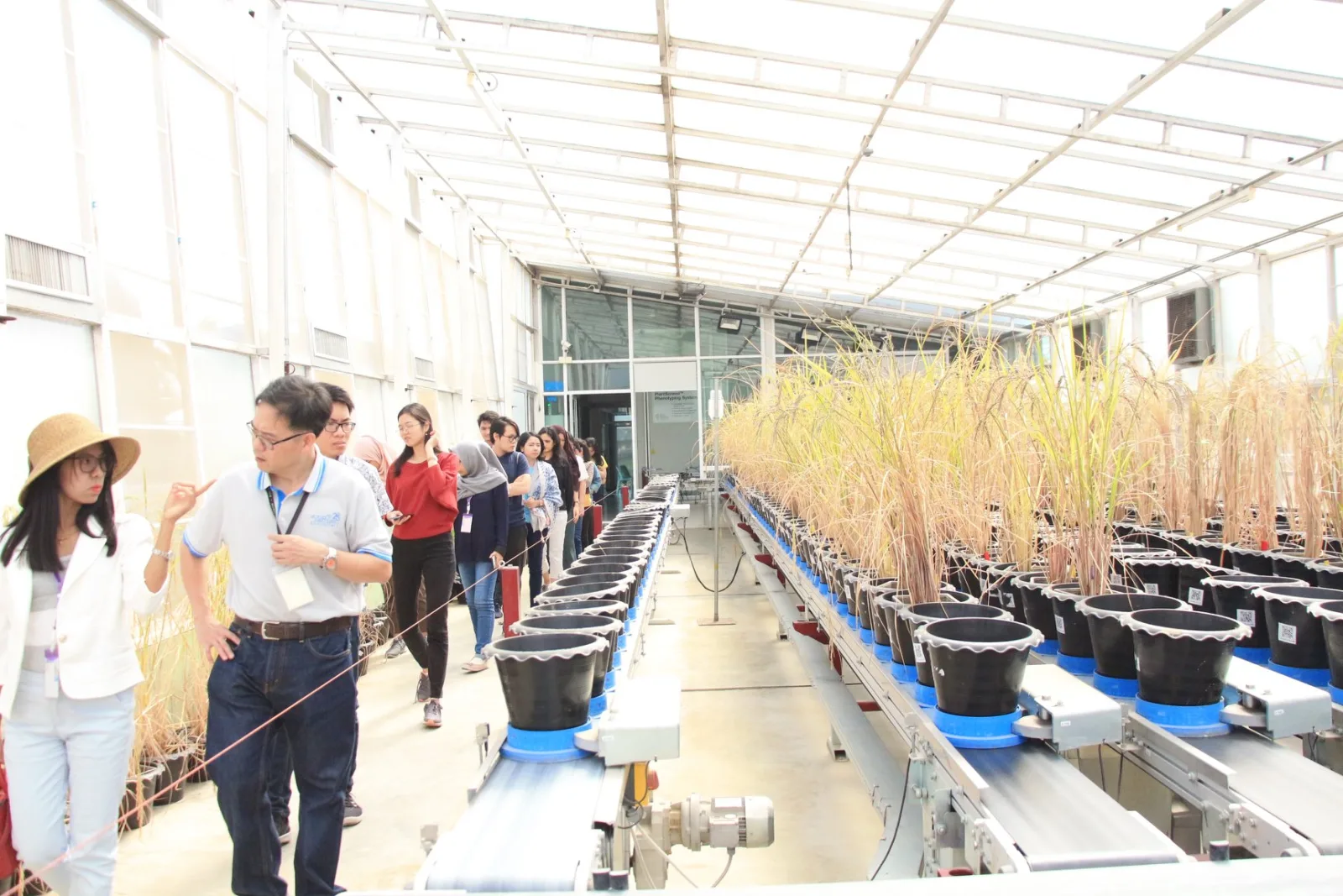 International Students and Researchers Visit Research at the Rice Science Center