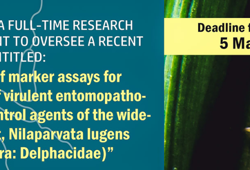We are seeking a full-time research Masters student to oversee a recent grant award