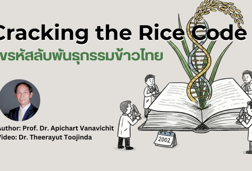 Cracking the Rice Code การถอดรหัสพันธุกรรมข้าว