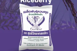 How to Grow Riceberry Rice in an Organic Farming System