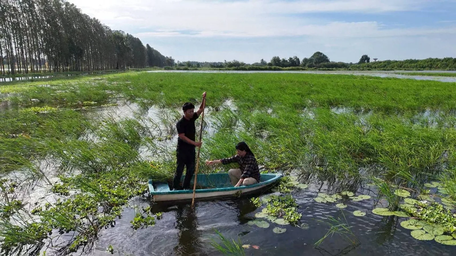 “ล่องเรือมาหาข้าวสักต้น รวยหรือจนให้ใจรักแน่ ”
