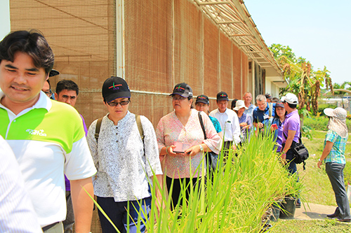Newton Fund เยี่ยมชมที่ศูนย์วิทยาศาสตร์ข้าว