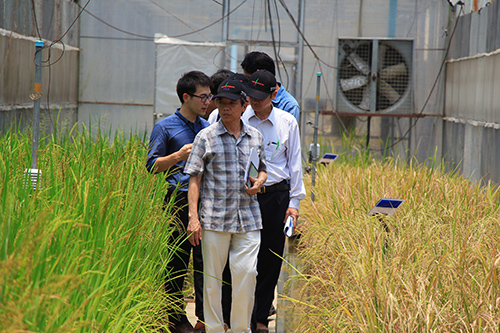 Newton Fund เยี่ยมชมที่ศูนย์วิทยาศาสตร์ข้าว