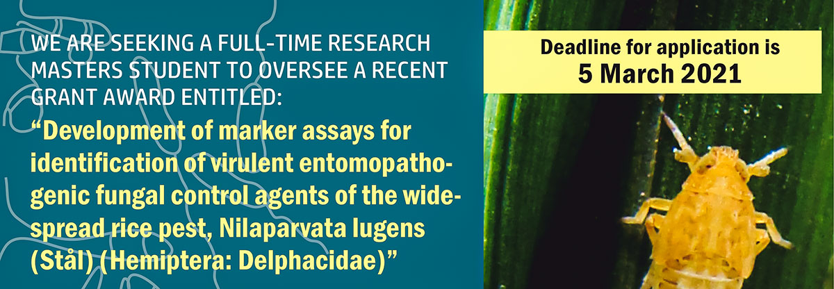 We are seeking a full-time research Masters student to oversee a recent grant award
