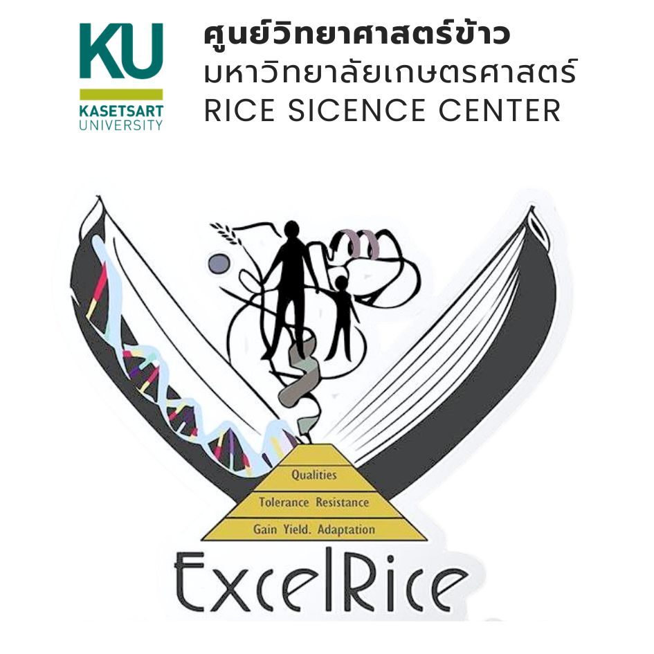 cover-image