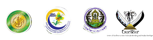 cover-image