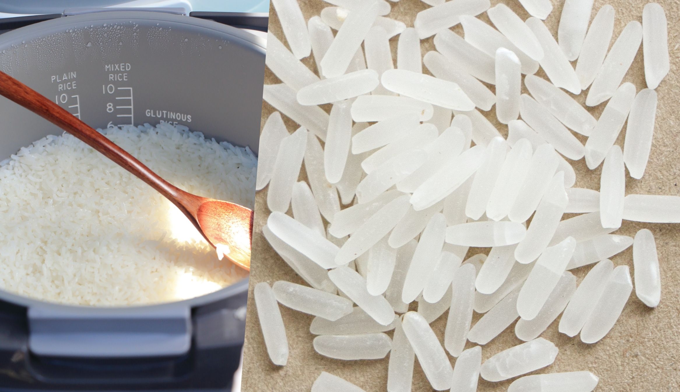 rice-homma-laiman-5.jpg